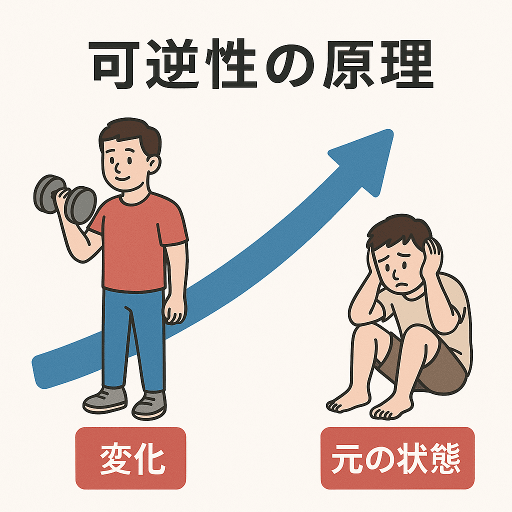 浅草橋・蔵前の方そうじゃない方も必見!トレーニングする上で絶対に覚えてた方がいい原理原則3 Personal Gym PATHFINDERS/パーソナルジム パスファインダーズ